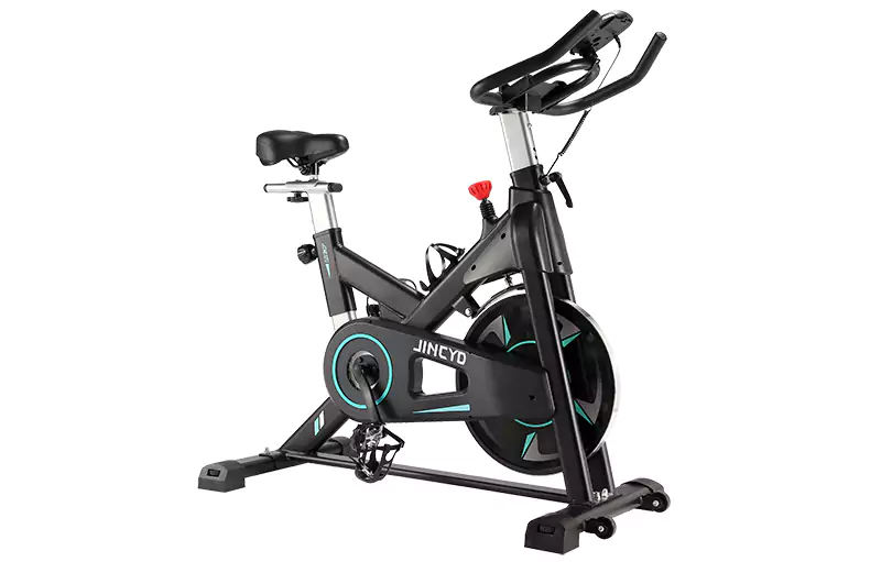 JC312 Magnetic Spin Bike